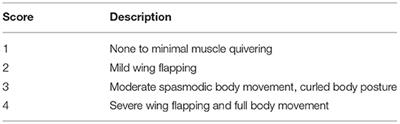 Influence of Post Mortem Muscle Activity on Turkey Meat Quality